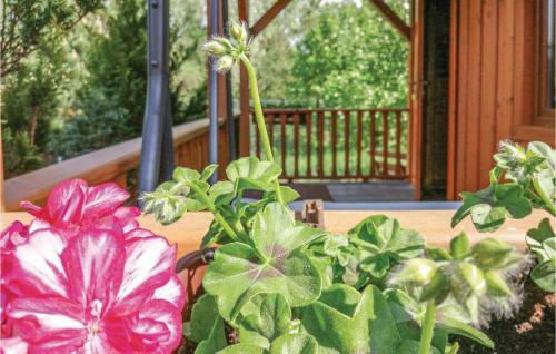 Holiday Home Cisowa N-929