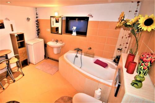 Apartm�n Za Hostincom