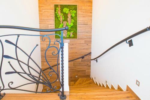 Hostal Penzi�n Darinka