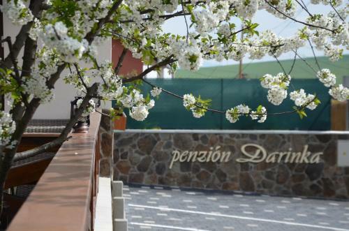 Hostal Penzi�n Darinka