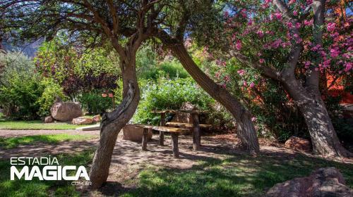 Glamping En Valle Grande