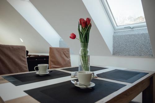 Apartm�n Bikers House