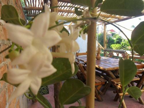 Apartamento Oasis Pa Clau