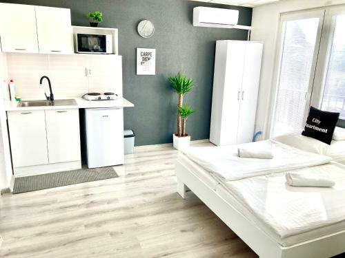 City Apartment