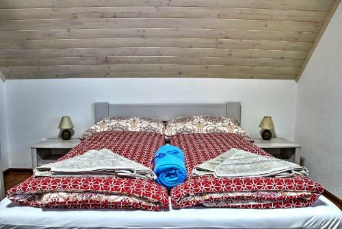 Lodge Vila Zgraja