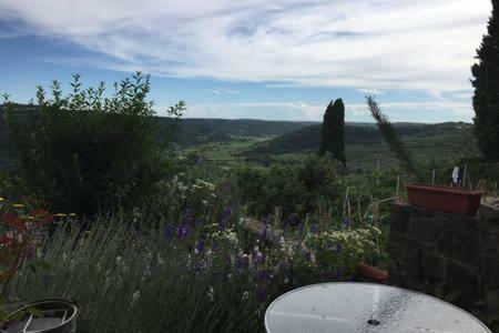 Apartments Padna Goja