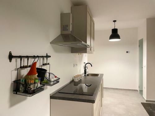 Gozdni Raj Rogla Apartma