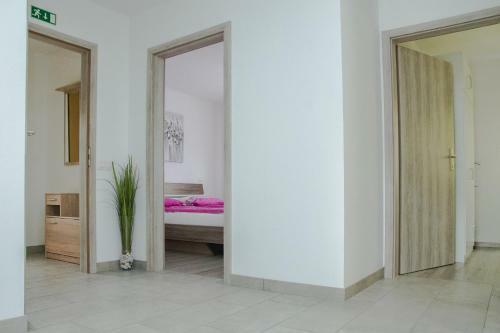 Apartma Fani