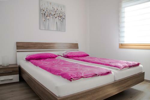 Apartma Fani