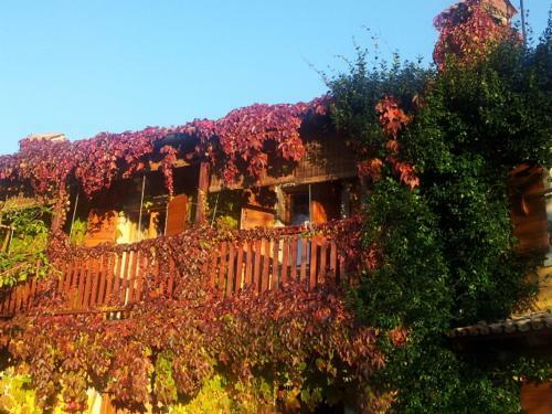Rozina Vacation House