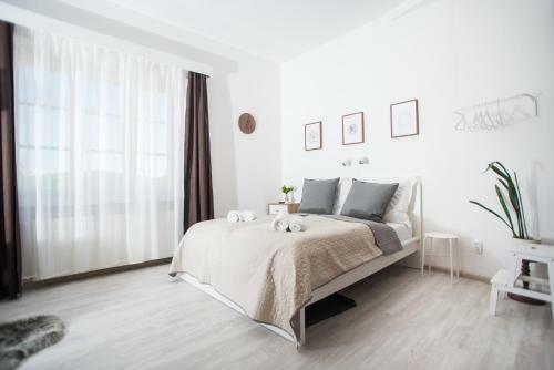 Hostal Penzi�n Branecky