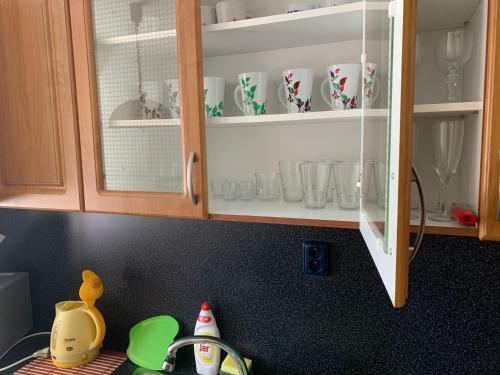 Apartmen Zelenecska