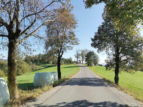 Cottage Golenovo