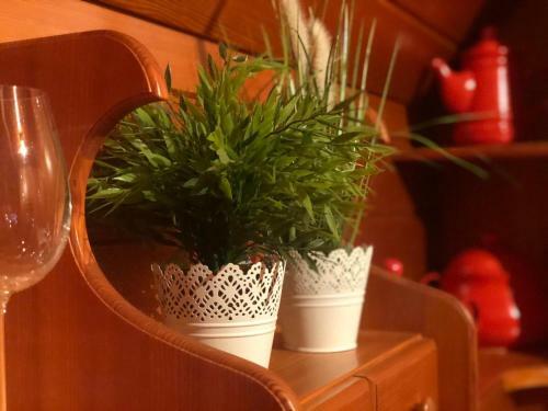 Sunny Chalet Anica
