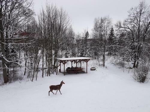 Lodge Vila Val�ria