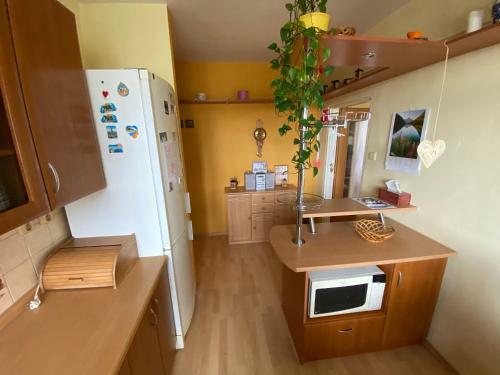 Apartman 176