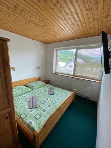 Hostal Penzion Pod Brehom