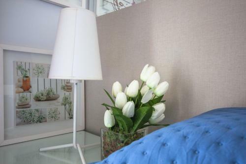 Apartamento Centro Hist�rico Charme E Conforto Garagem E Internet 50mb