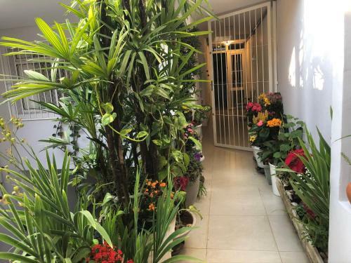 Pompeia Homestay