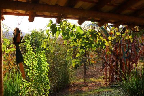 Chal� Da Mata No S�tio Natureza & Magia