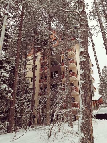 Wonderwood Family Apartment