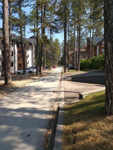 Wonderwood Family Apartment