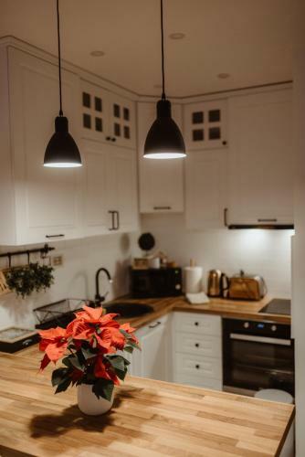 Wonderwood Family Apartment