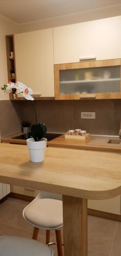 Apartman Andrija Zlatibor
