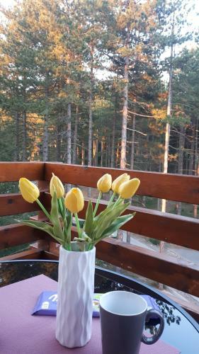 Apartman Prima