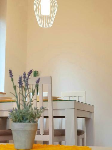 Apartman Berolina