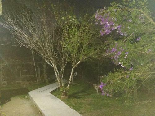 Hostal Hospedaria V� Schutz 2