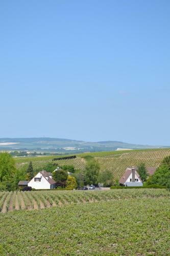 Bed & Breakfast La Villa Champagne Ployez-jacquemart