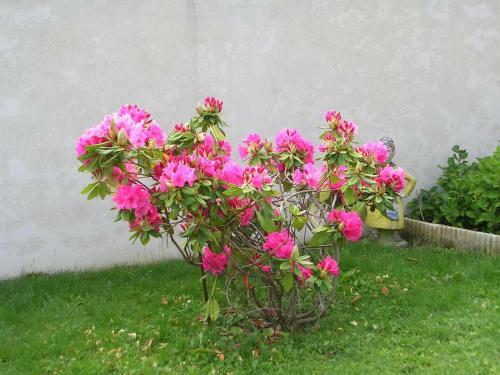 Bed & Breakfast Chambre D'h�tes Tardy