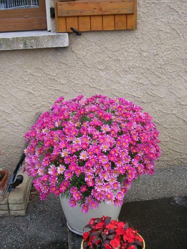 Bed & Breakfast Chambre D'h�tes Tardy