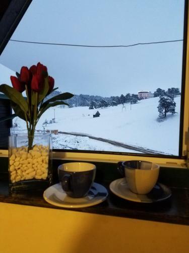 Apartamento Hill View Zlatibor