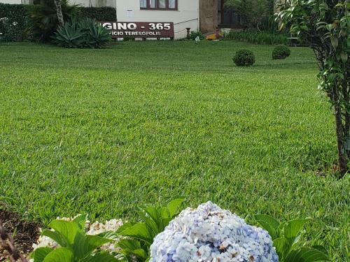 Apartamento No Alto Com Estacionamento E Wi-fi
