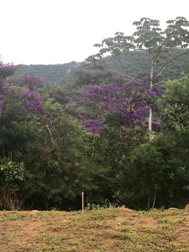 Meu Cantinho Na Serra