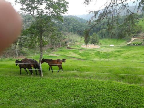 Sitio Haras Vitoria