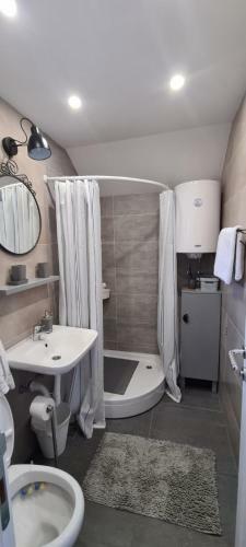 Apartamento U?u?kani Studio