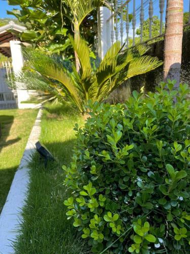Hotel Pousada Arvore Da Vida