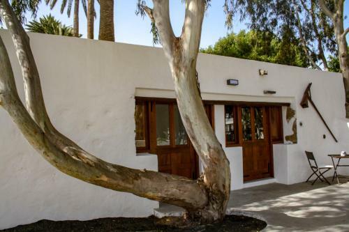Apartamentos Delm�s