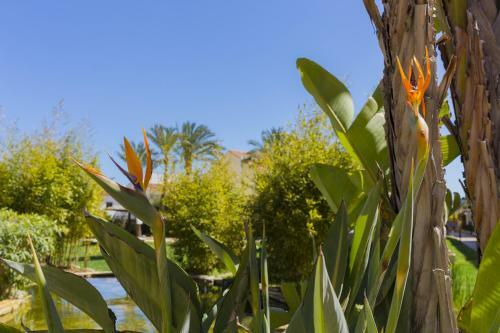 Veranda Golden Beach II Apartment Javea Arenal