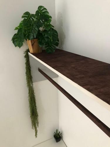Apartamento Kactu?s Loft