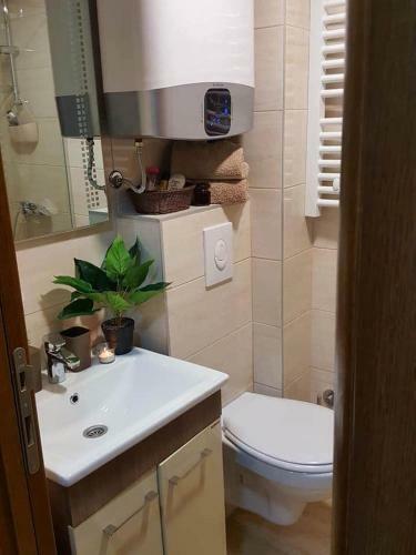 Zlatibor Apartman Evergreen