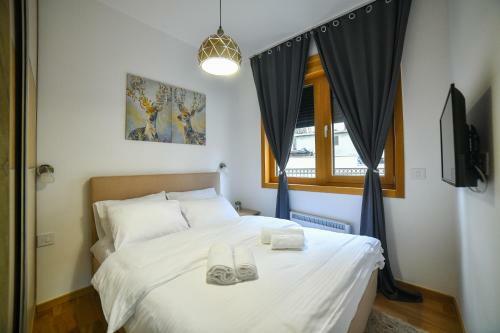 Vila Elsa Apartmani Kosta Todorovic