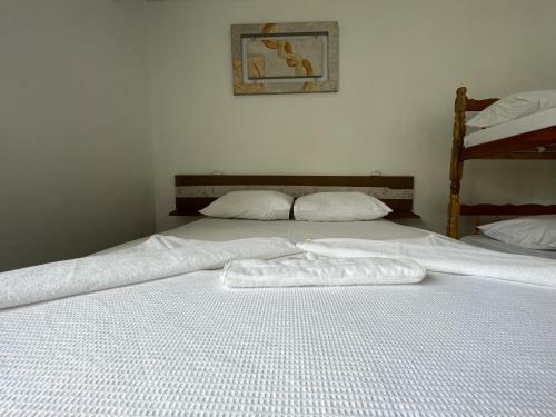 Hotel Center Torres