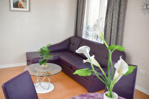 Apartman Andjelcic