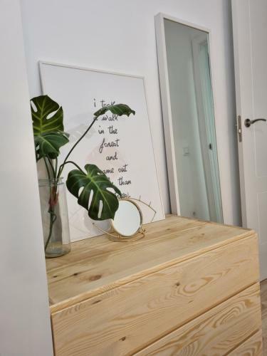 607a - Apartamento 2 Habitaciones Moderno