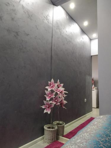 Apartman Markovi? Zlatibor