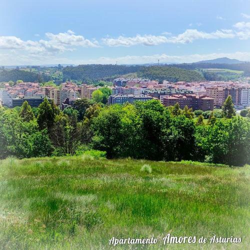 Apartamento Amores de Asturias